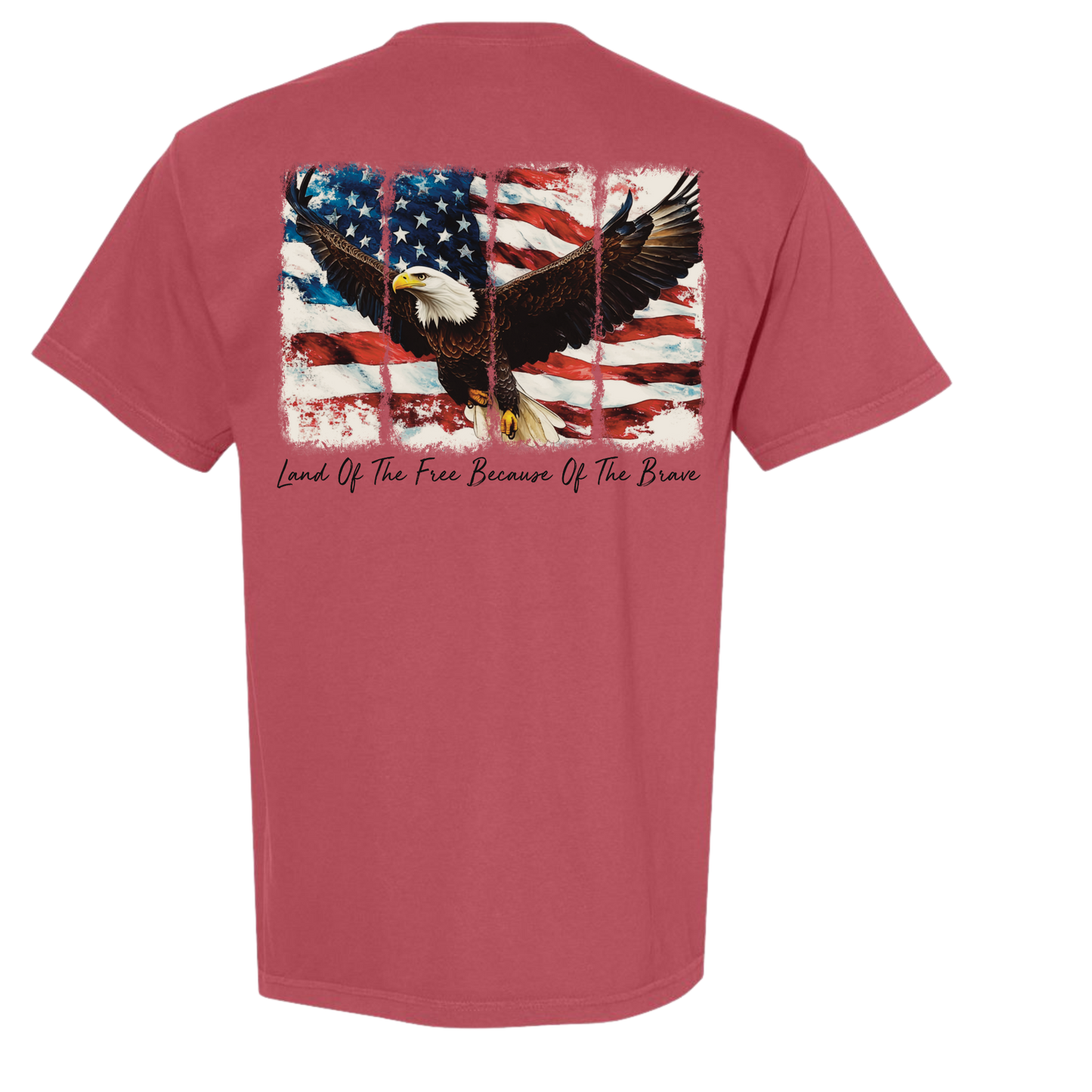 American Eagle Tee